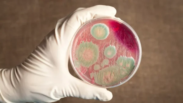 234264246ebd1e9d6b7c6f4baeda146a