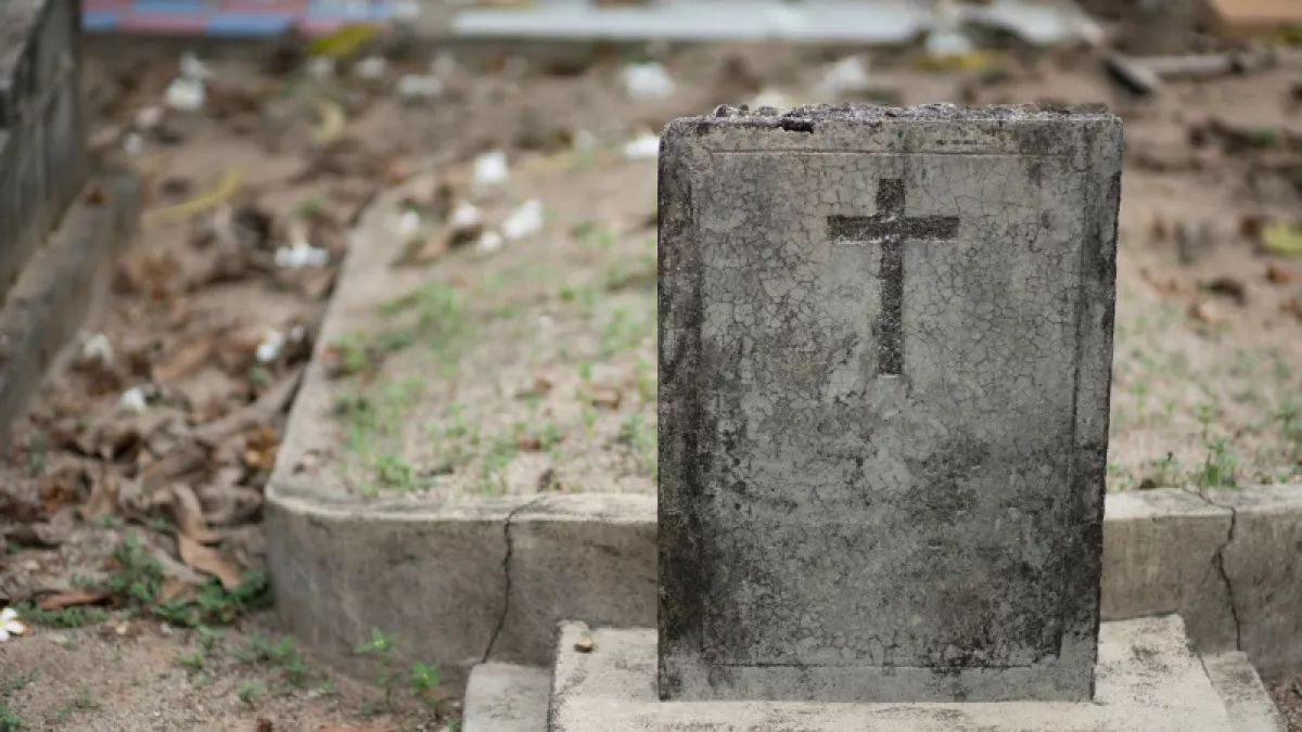 7b50c0a6c5da506e79408b670b0ffe45