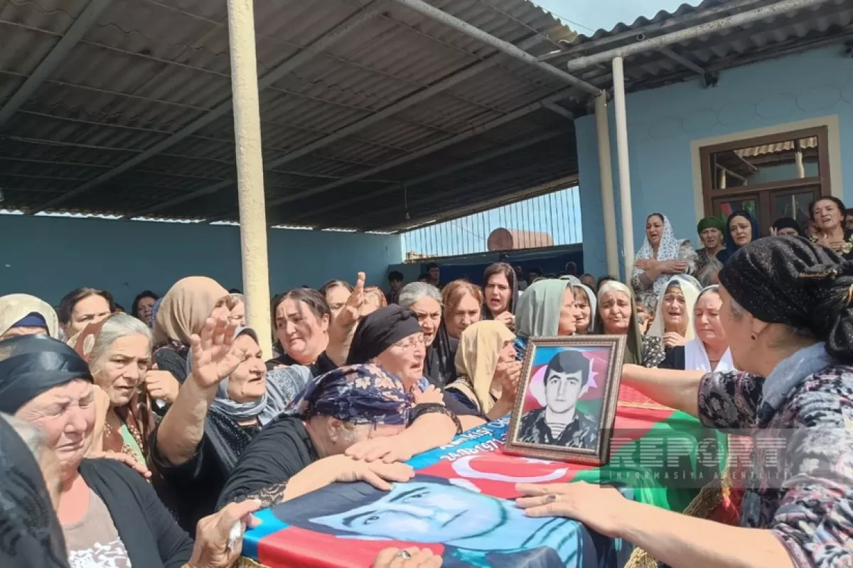 980de1852a3ead807a24bd2e1a230a00